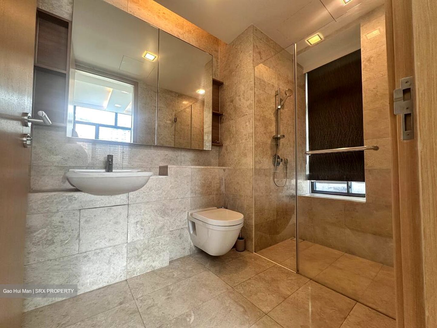 Soleil @ Sinaran (D11), Condominium #504650431